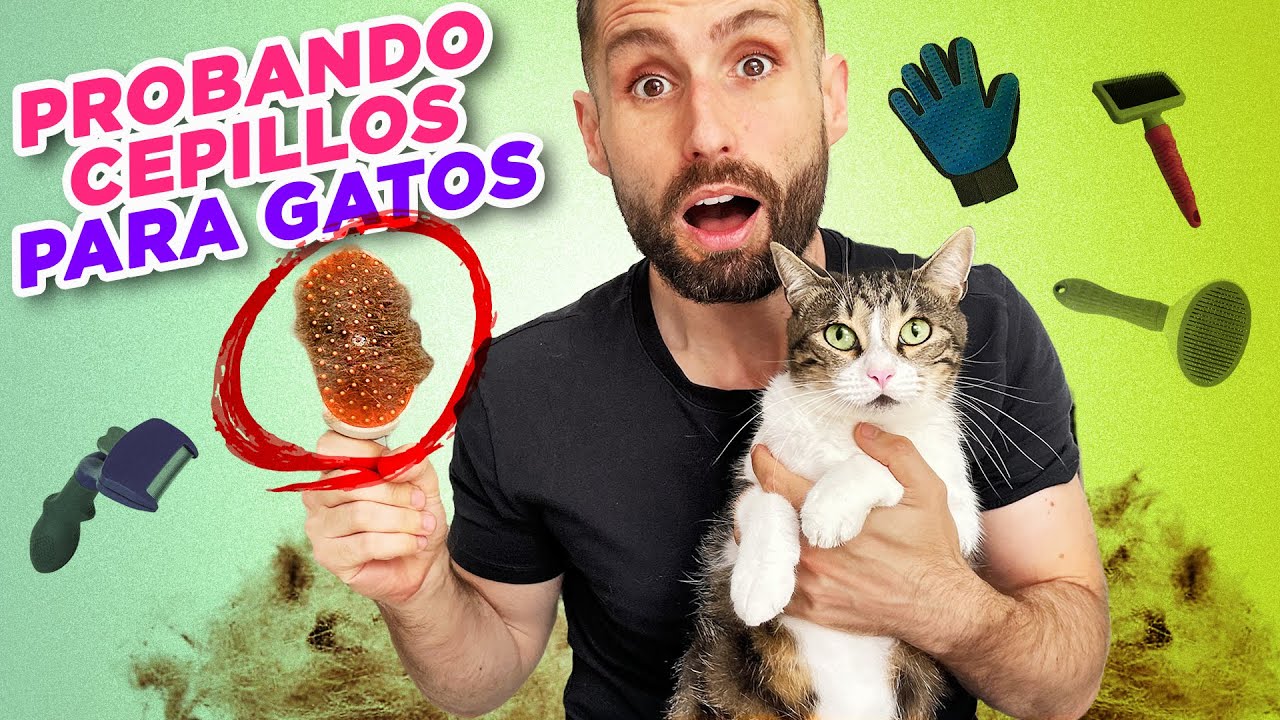 Probando y comparando CEPILLOS PARA GATOS 😸 | ¿Cuál es el MEJOR CEPILLO para mi gato Alcachofo🐯?