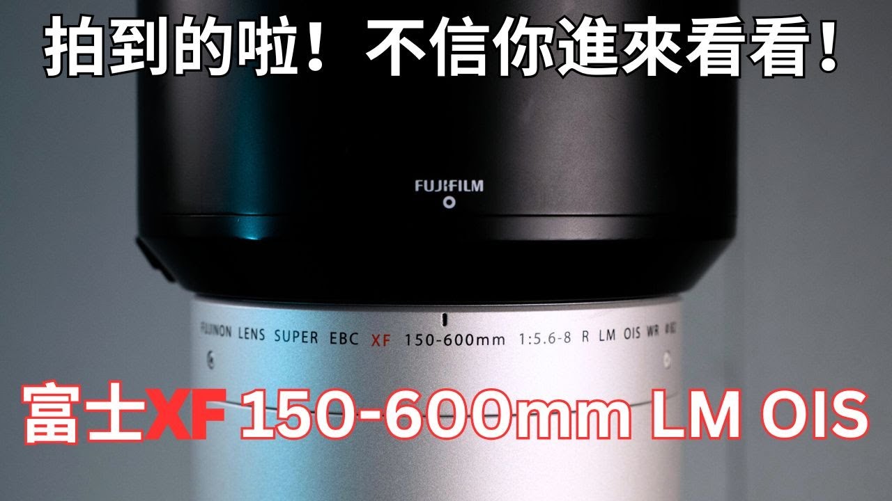 APS-C 打鳥真的行嗎？我用富士 XF 150-600mm 說實話