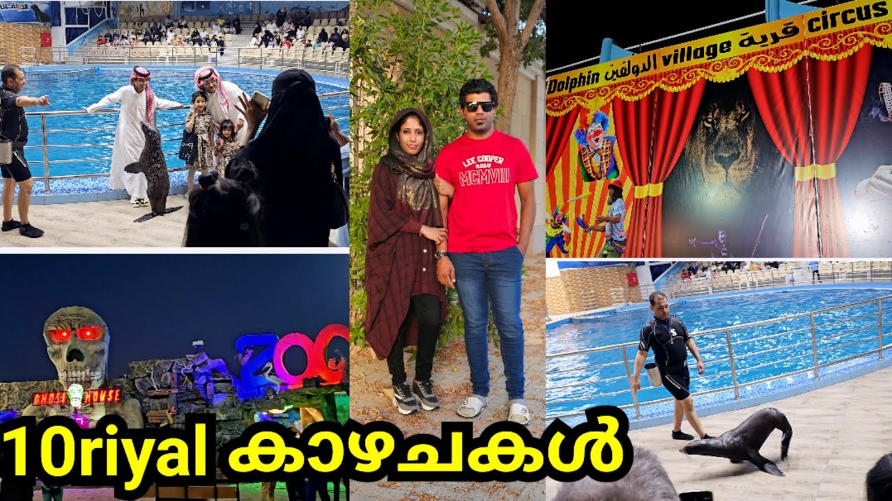 Eid Day3|Dolphin and Sea Lion Show|Exploring Saudi Arabia|Vlog Malayalam|Dolphin Village Dammam