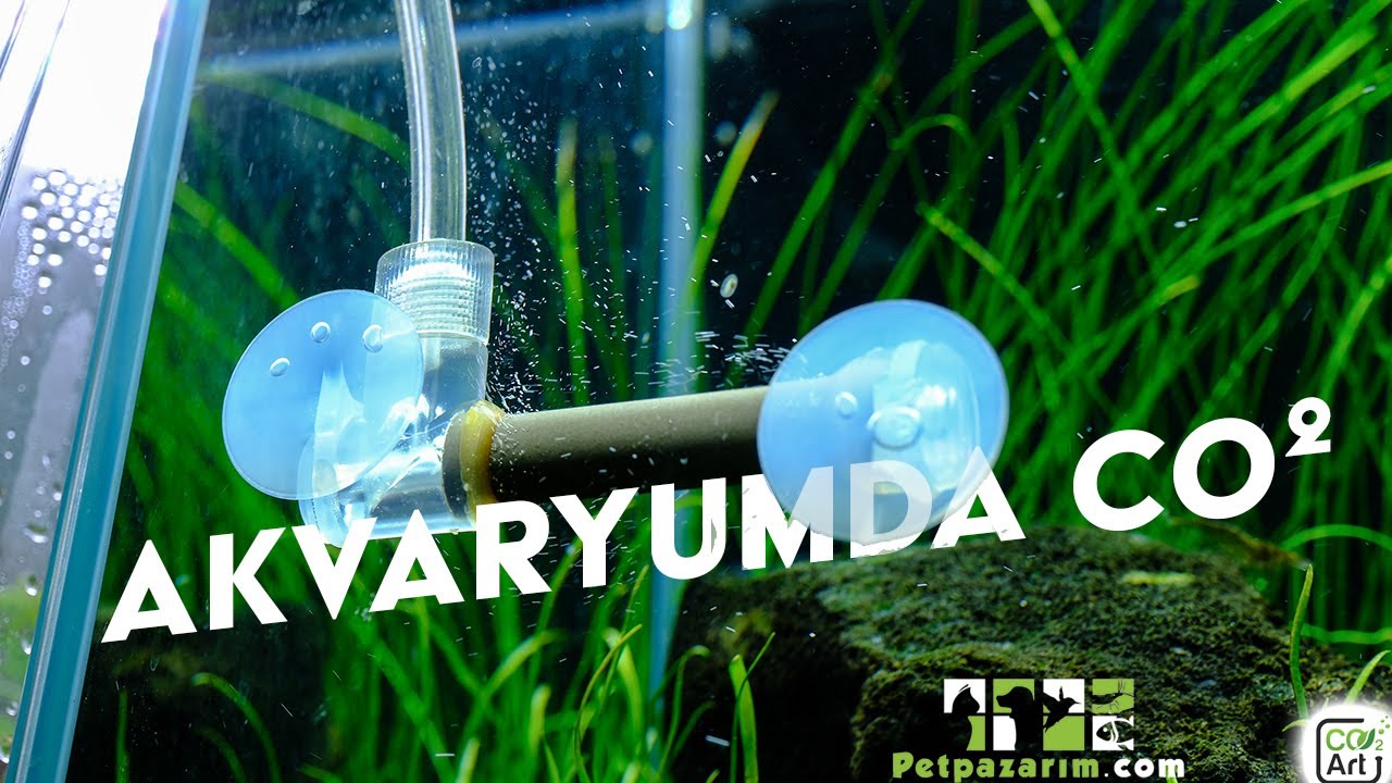 Akvaryumlarda Co2 Kullanımı A-Z Kurulum - Co2 Art Pro Se