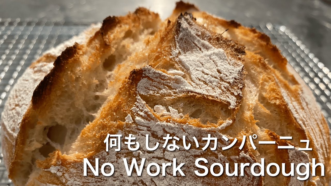 SUB)冷蔵庫の自家製天然酵母元種で初心者でもできるパン/ 余り種でできる/ Beginner Recipe! No Knead bread With Unfed Sourdough Starter