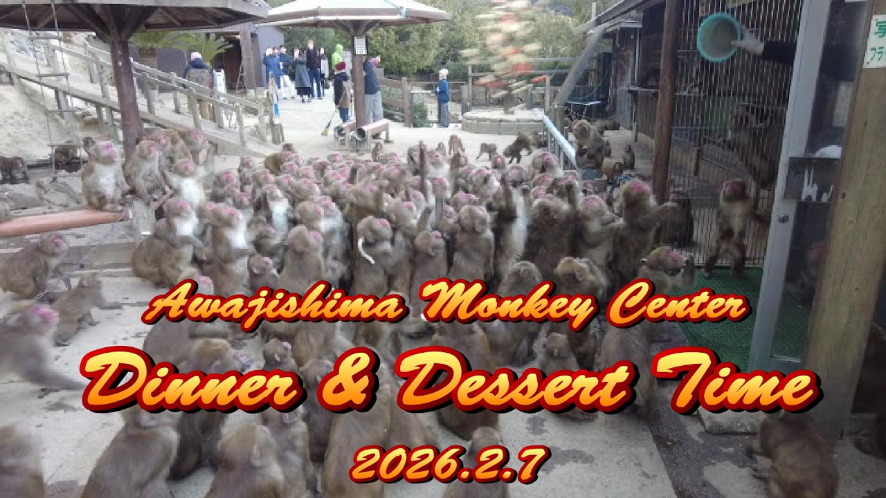 【第二弾】＃淡路島モンキーセンター～＃夕食＆＃デザートタイム2026 2 7