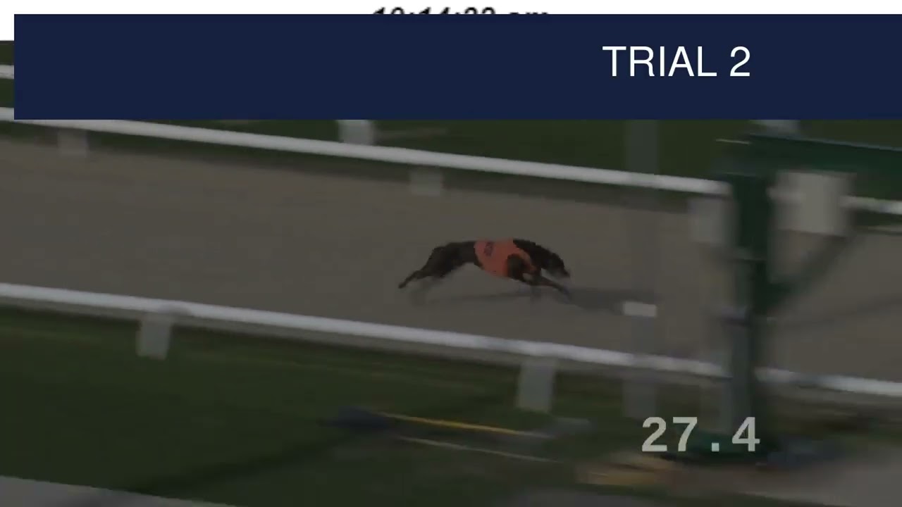 Dunstall Park Trials on 23rd February 2026