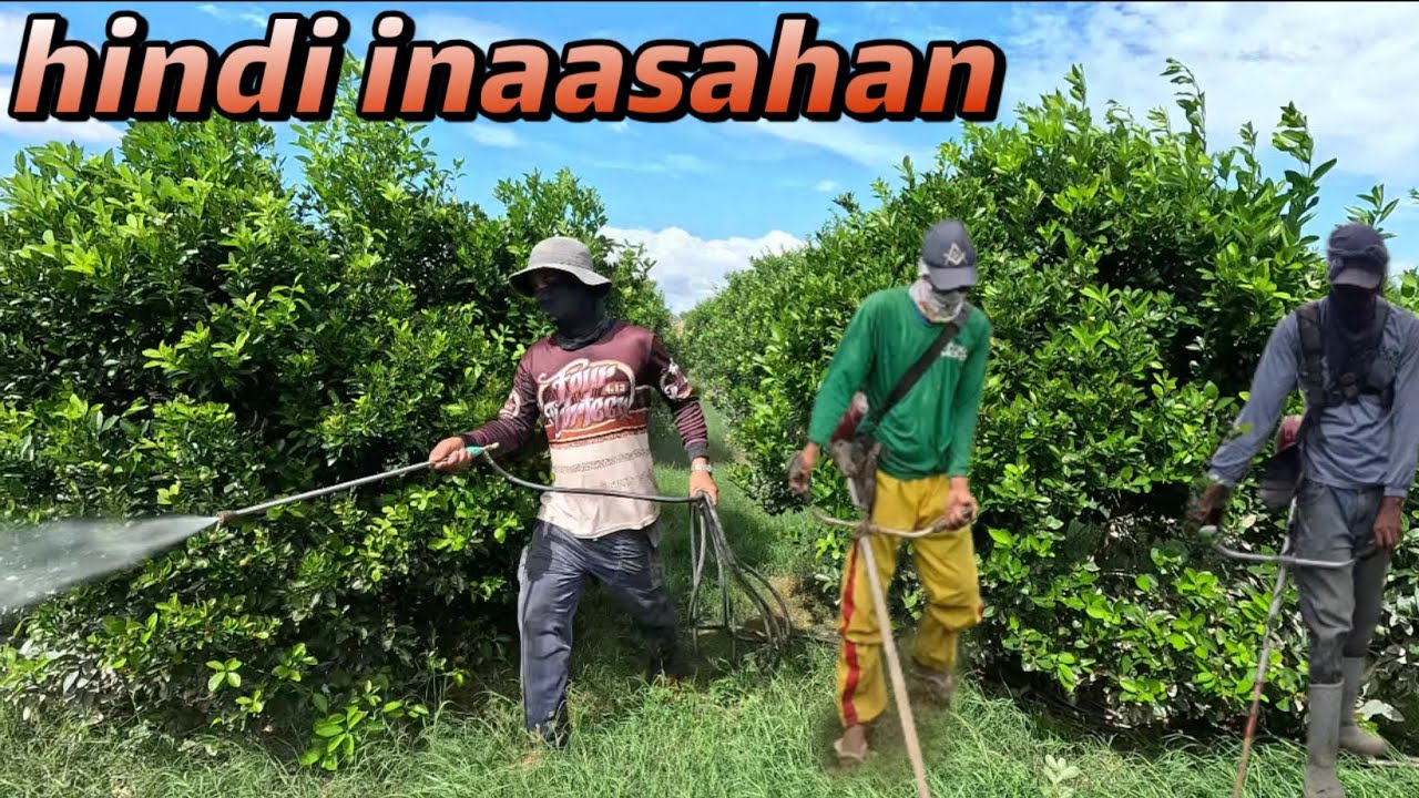 PINANGARAP AT PINAGDARASAL NAMIN ITO