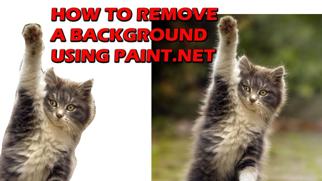 Removing A Background in Paint.net 2018 - Cat Raising Hand