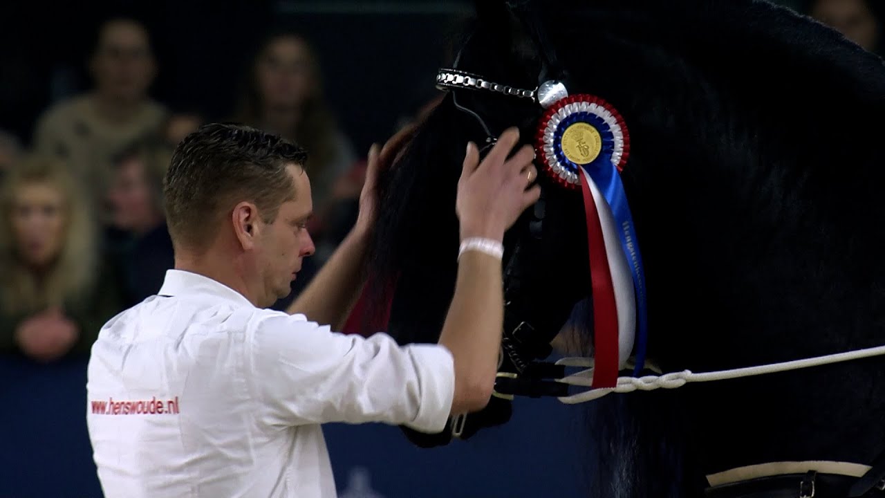 HK 2023 | Silver Bowl & Paard van het jaar 2022