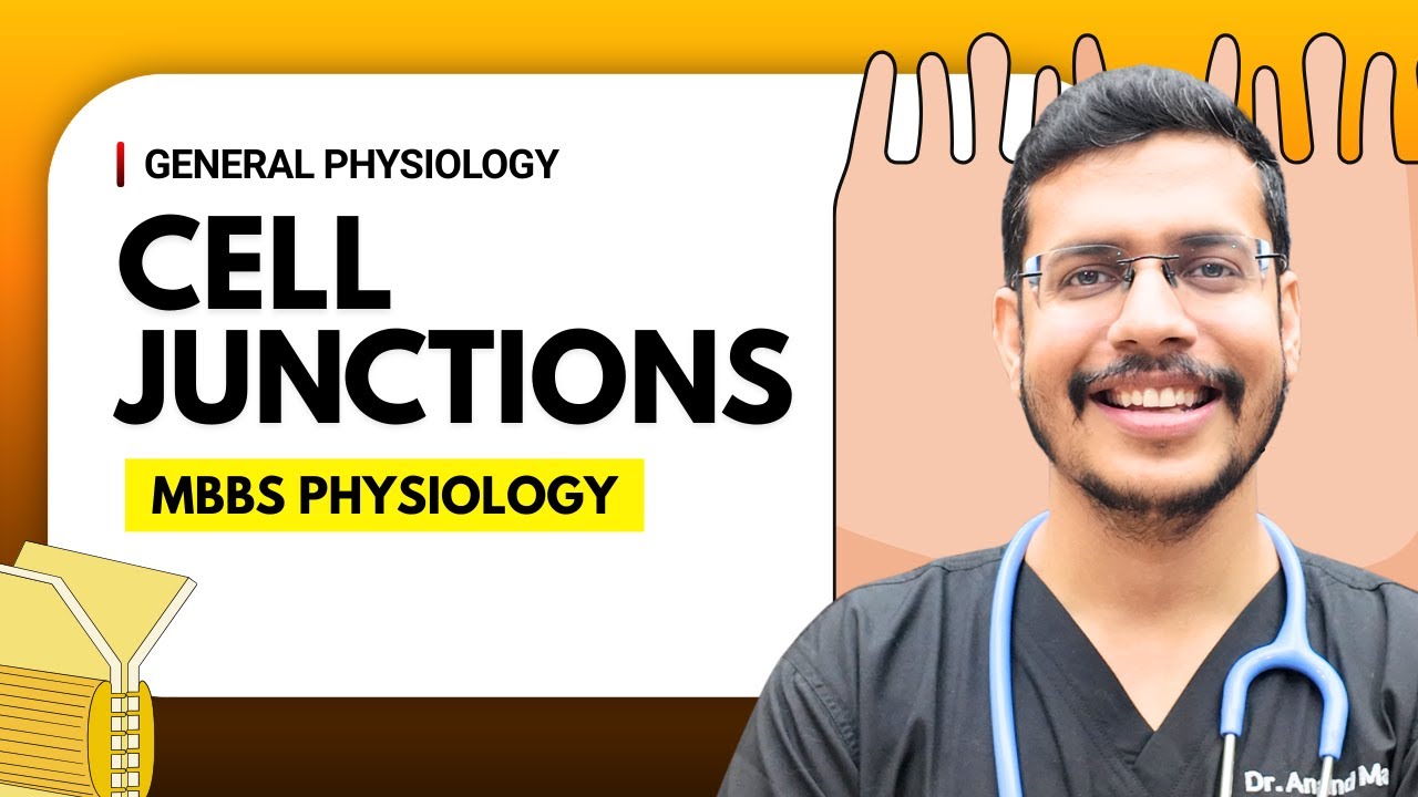 Cell Junctions | General Physiology | MBBS 1st Year | Dr. Anand Mani