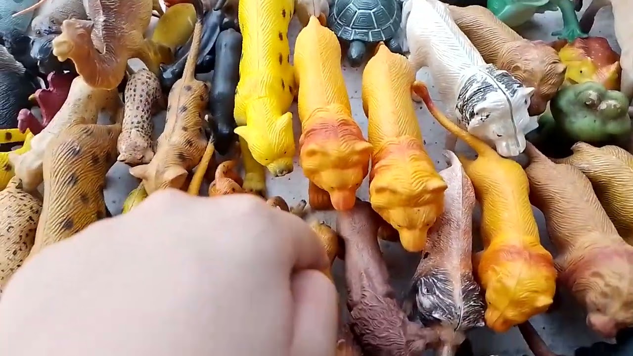 Mostrando toda minha coleção de animais de brinquedo parte 1