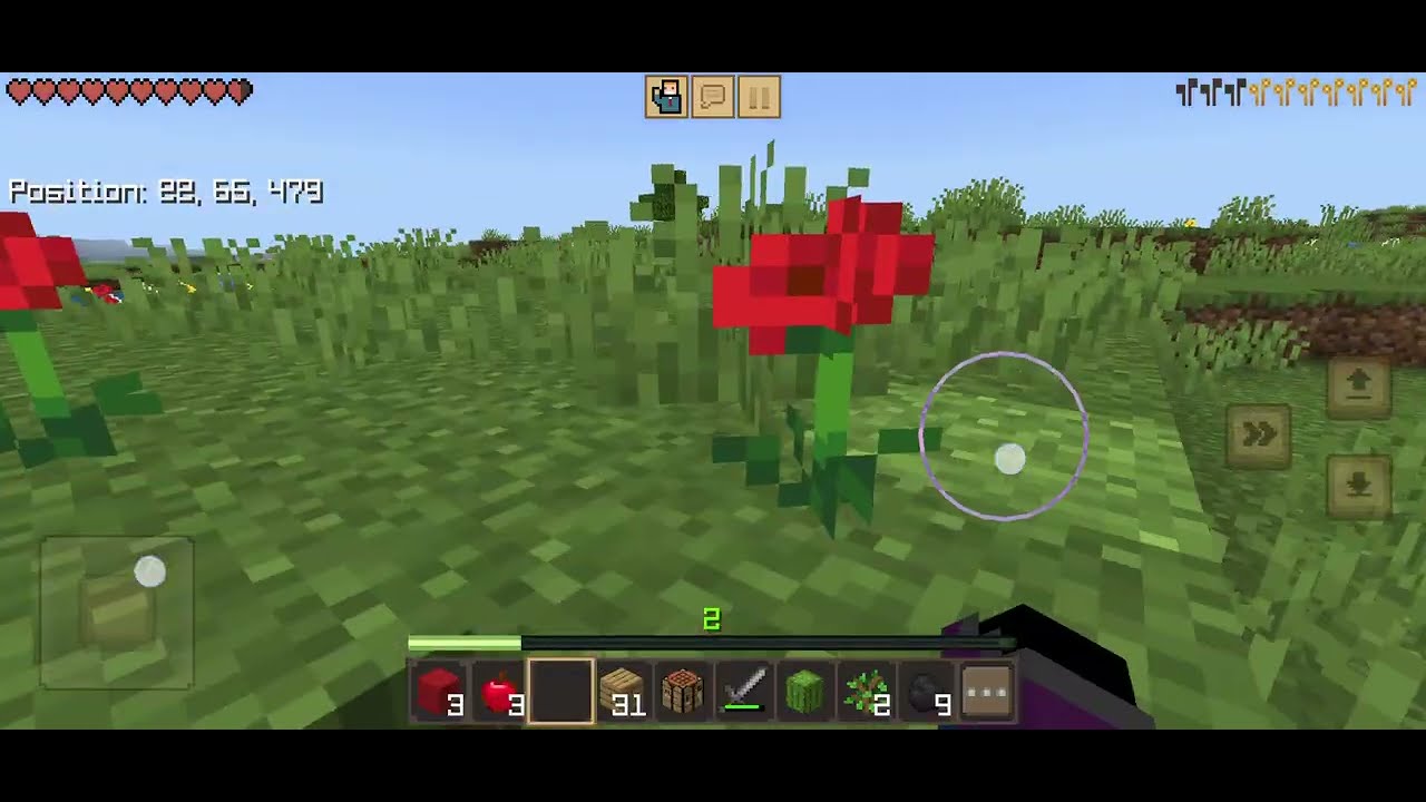 First Minecraft video