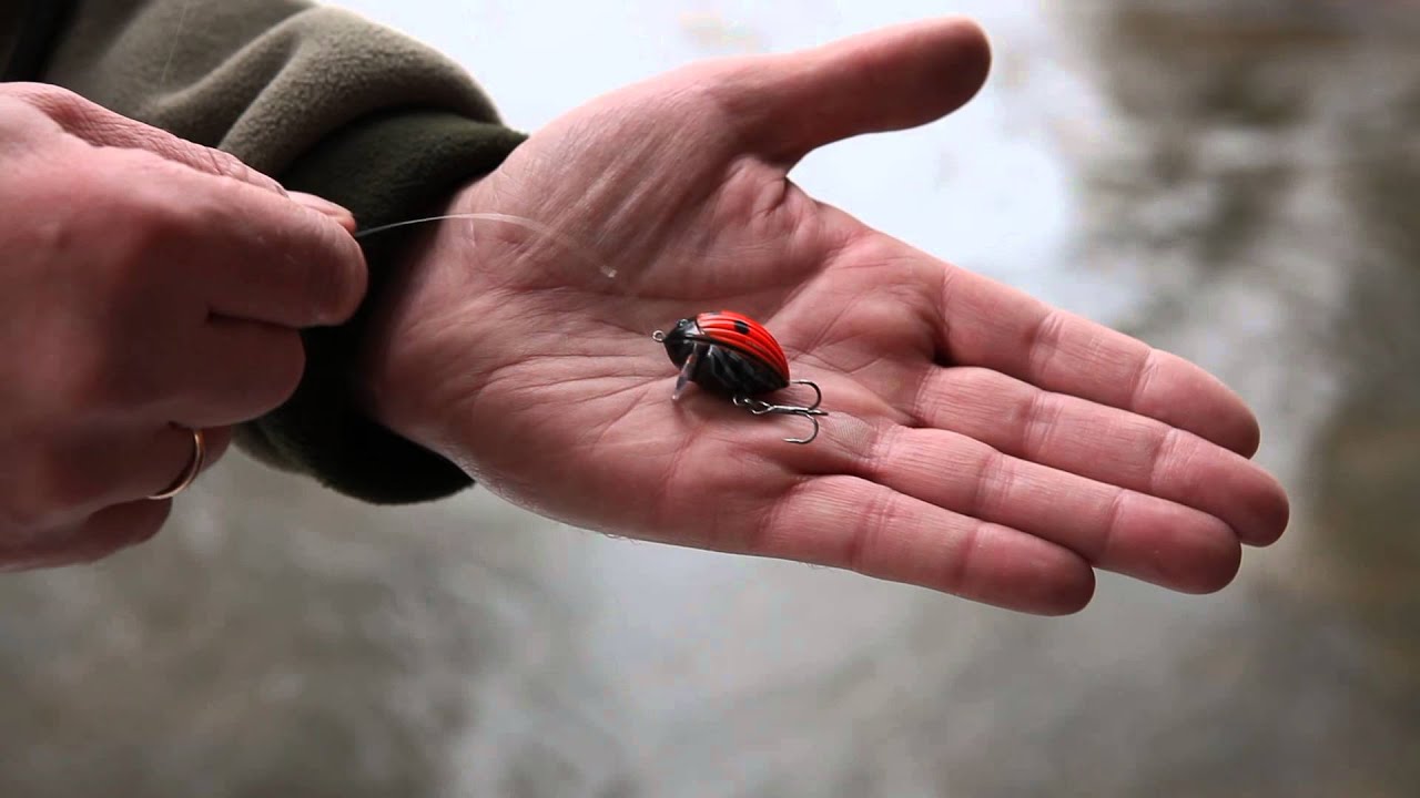 Lil'Bug Salmo Akadémia