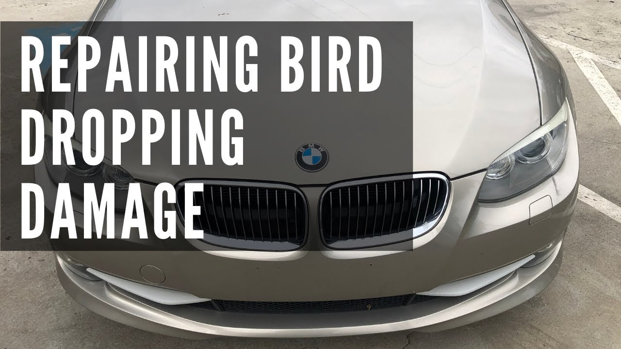 Removing Bird Poop Etching and Stains | Red Clay Detailing