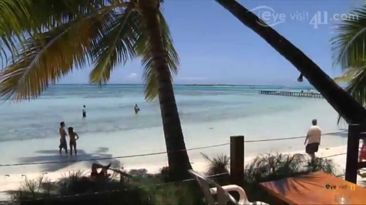 Hôtel Les Tipaniers Moorea - along a fine stretch of white-sand beach