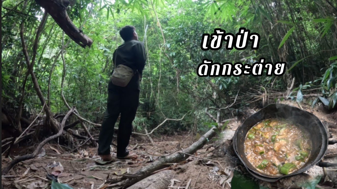 เข้าป่านอนป่าคนเดียว13 ธันวาคม ค.ศ. 2025