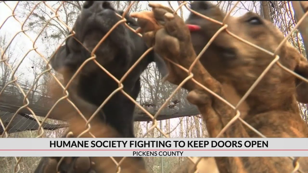 Pickens Co. Humane Society turning to community to save shelter