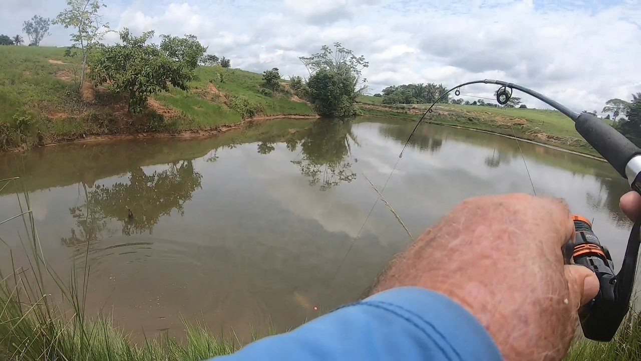 Engoliu o Anzol, Vale do Paraíso, Rondonia!!! - T05 Ep69. #pesca #pescaria #pescaesportiva