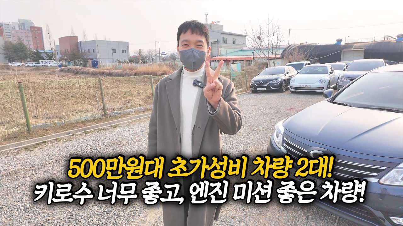 가성비 기가막힌 가격대.. 500만원대로 나온 키로수 최강, 상태 좋은 차량들 모음