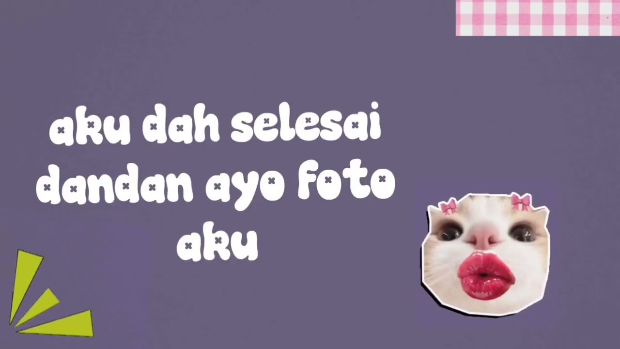 Meme kucing judul:foto