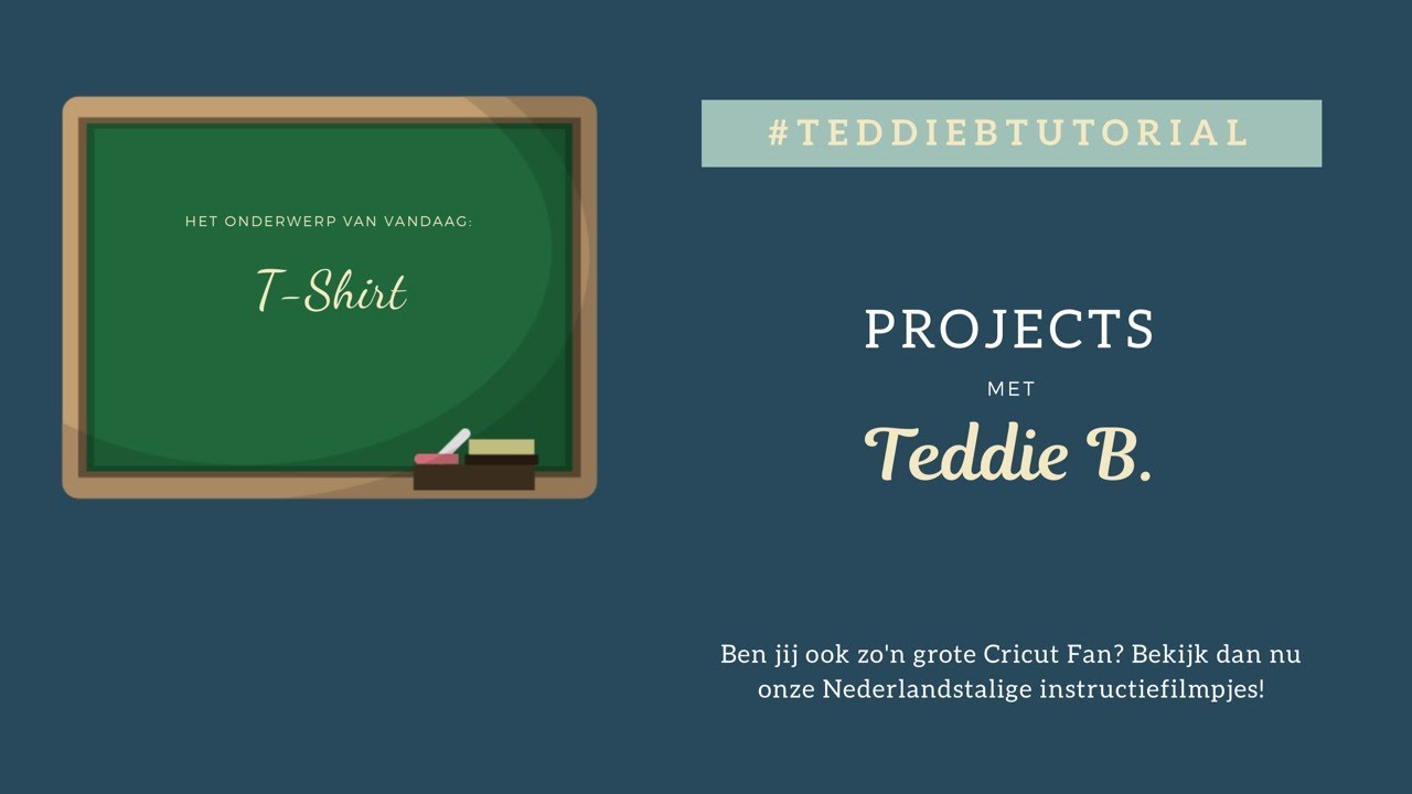 Ontwerp & maken van een T Shirt -  Projects met Teddie B.