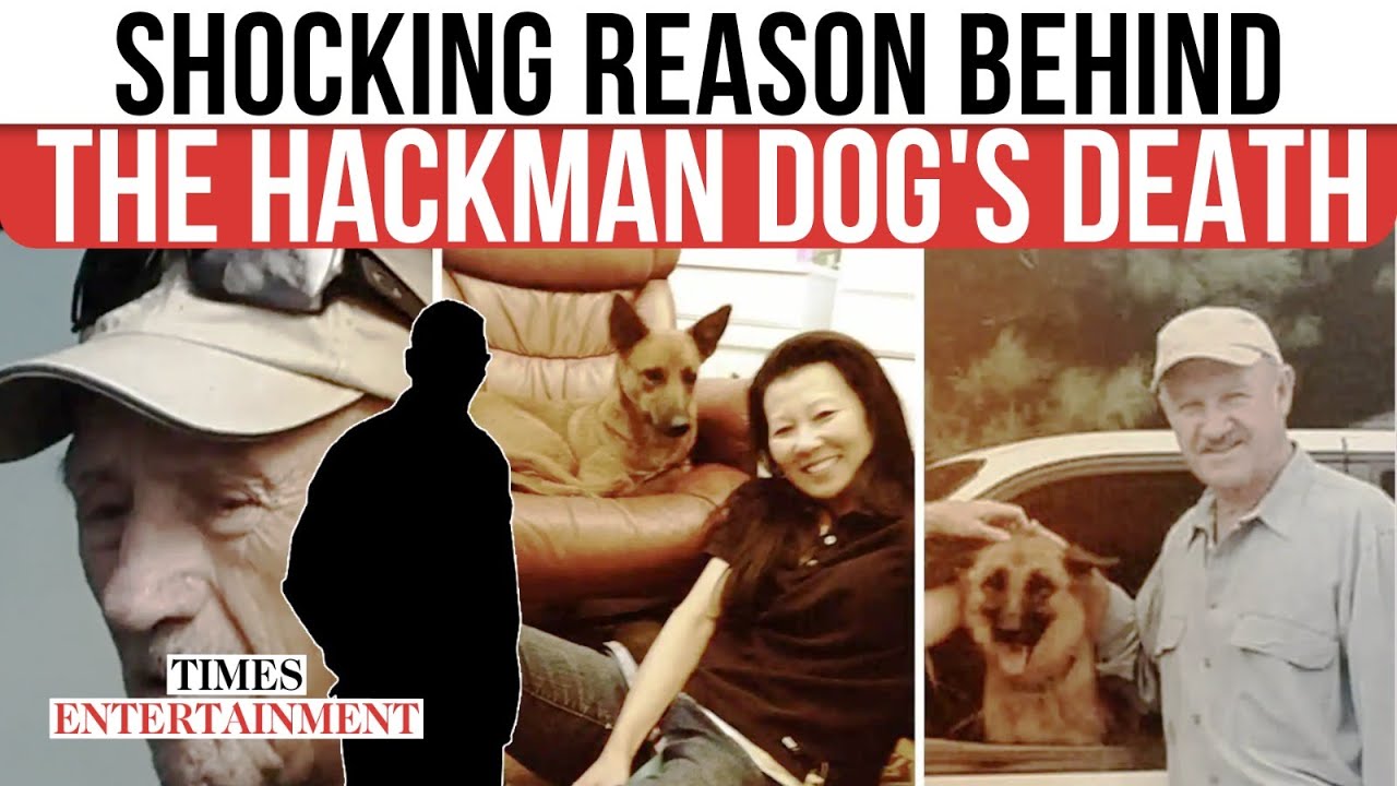 Pet Care Owner Reveals Shocking Truth Behind Gene Hackman’s Dog’s Tragic Fate | WATCH