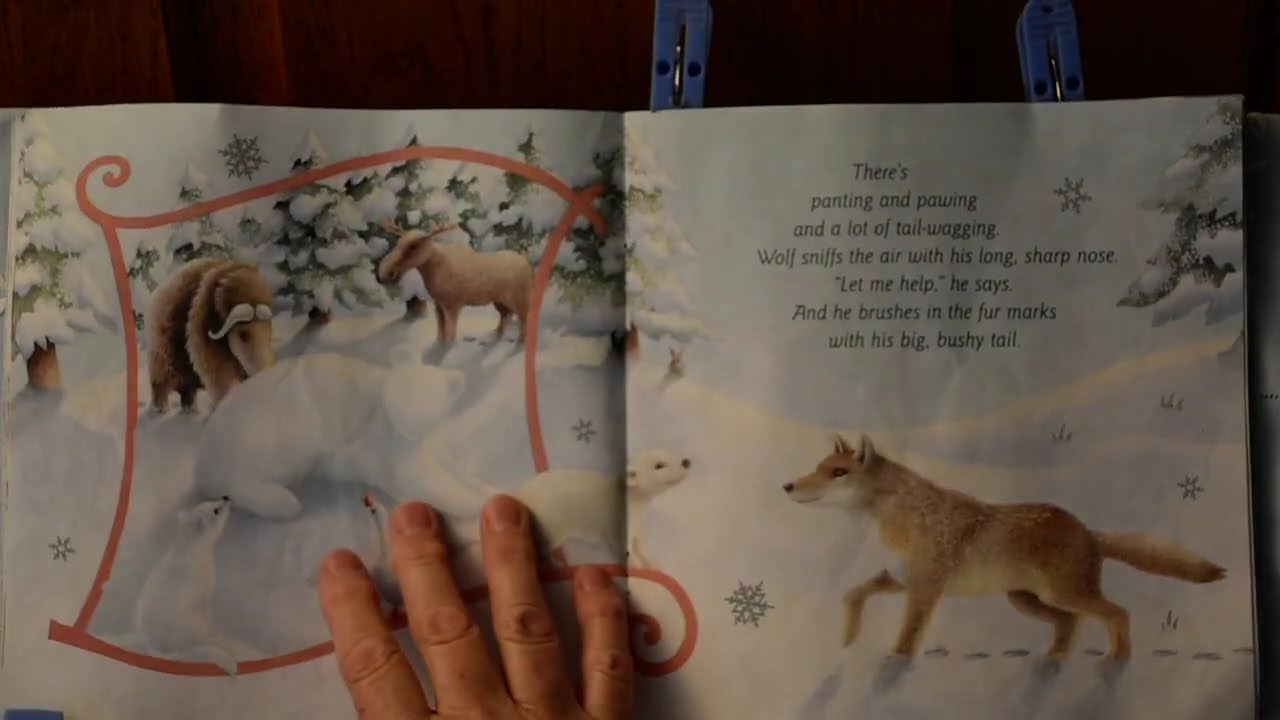 The Snow Bear
