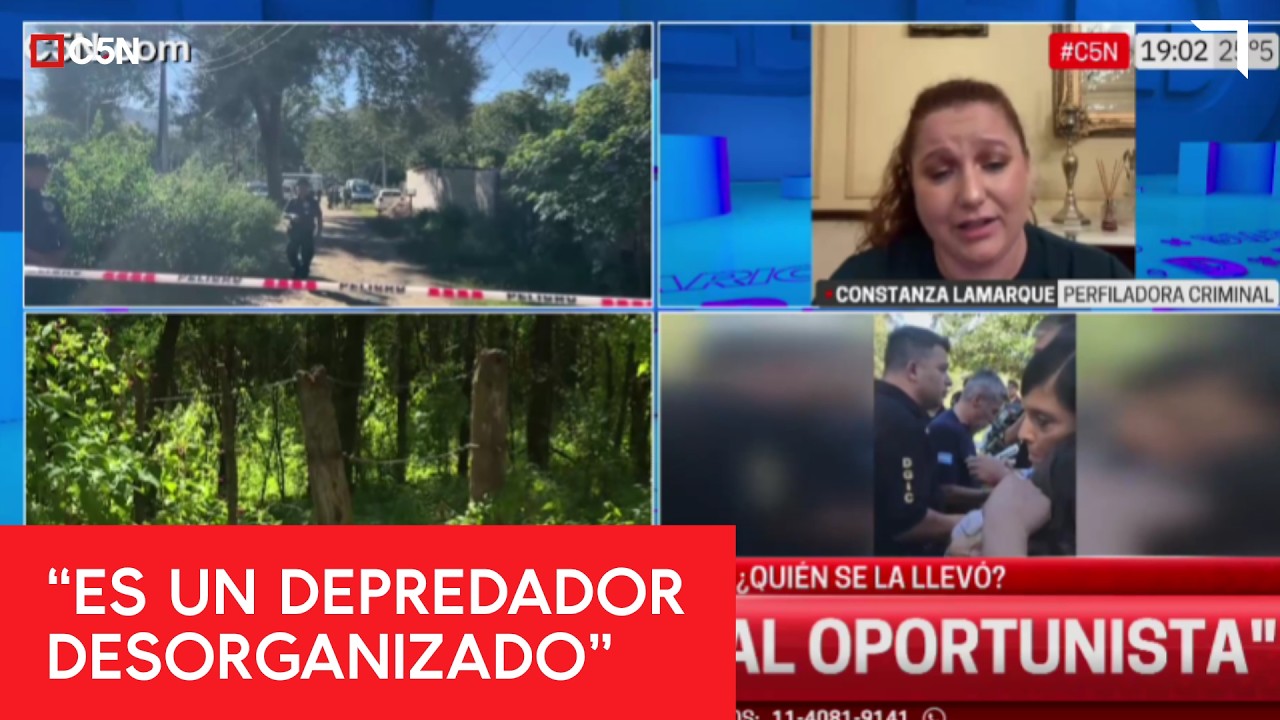 CASO NIÑA E: HABLÓ una PERFILADORA CRIMINAL sobre las HIPÓTESIS