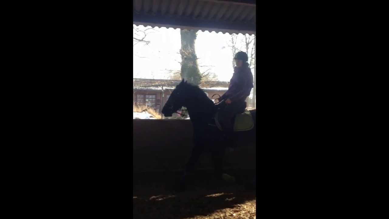 Das riesige Pferd gallopiert mit der Riesin und der klein Roger hinterher