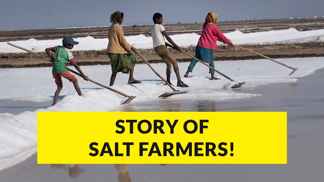 Salt farmers of India - Agariyas and their struggle #followinglove