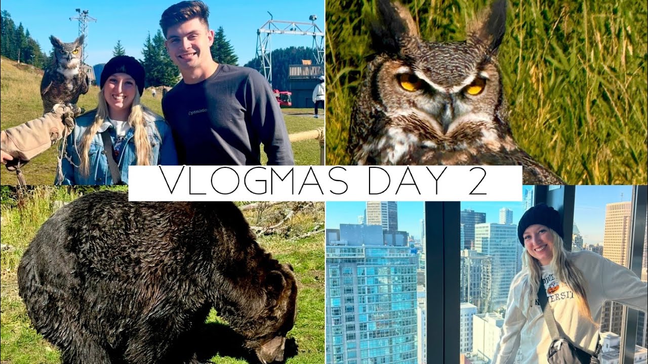 BIKING THE VANCOUVER SEAWALL & INTERACTING WITH WILDLIFE *VLOGMAS DAY 2*