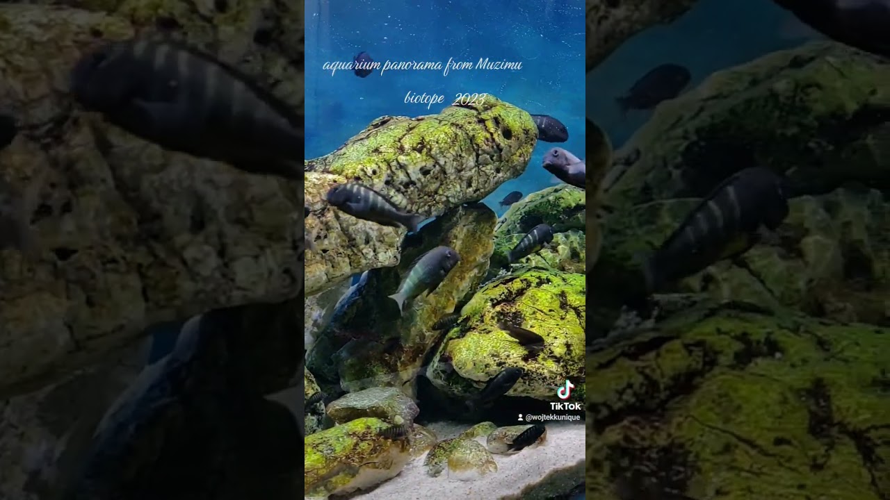 biotop Muzimu , Tanganyika