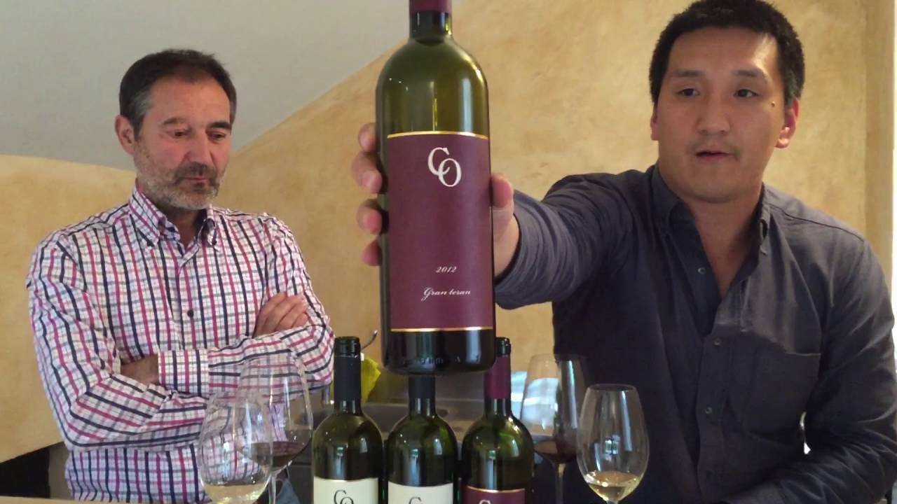 Croatian Wine: Talking Teran and Malvazija with Coronica