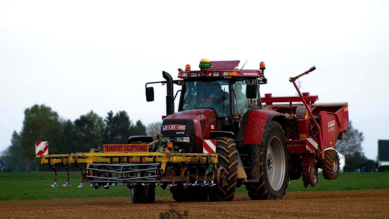 CASE IH CVX 1170 | Planteuse à Pomme De Terre Grimme | 4 Rangs | Belgique