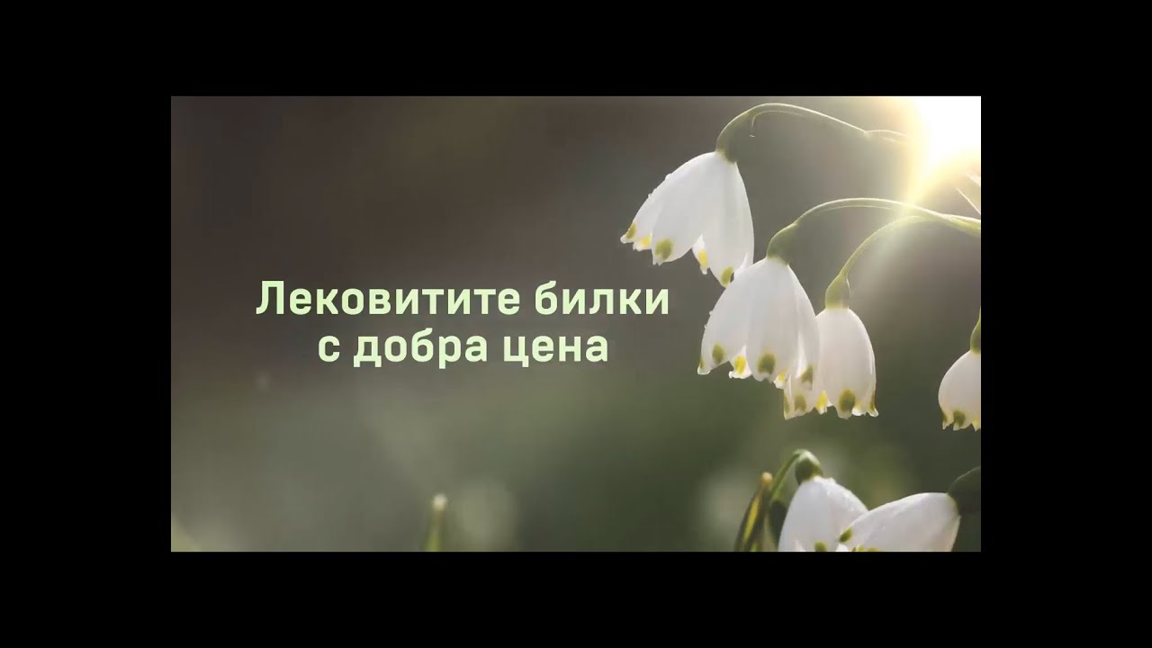 Лековитите билки с добра цена