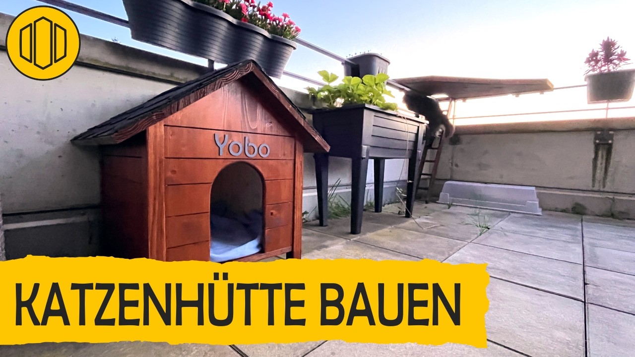 Katzenhütte für 75€ bauen