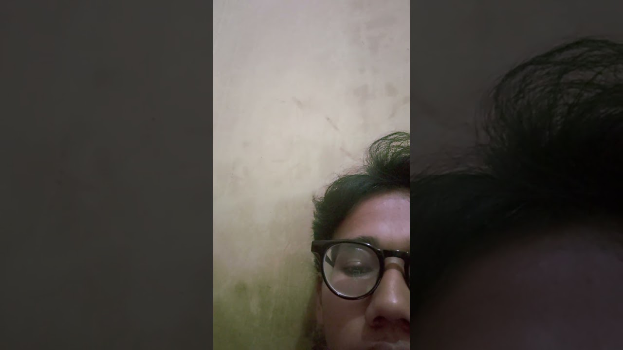 daily vlog 