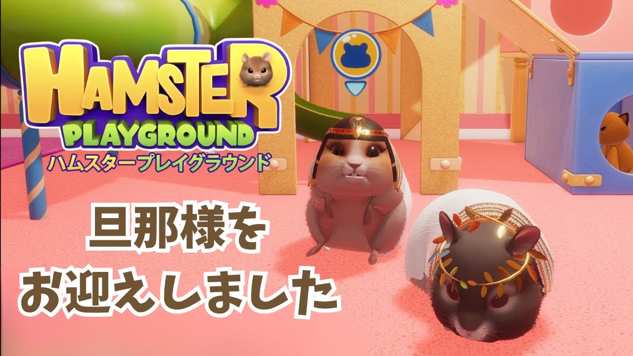 【HAMSTER PLAYGROUND】お部屋を整えて相方をお迎え！ついに揃った！！