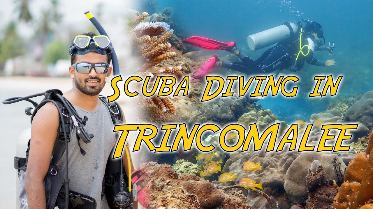 Scuba Diving in Trincomalee ( 2020 July )
