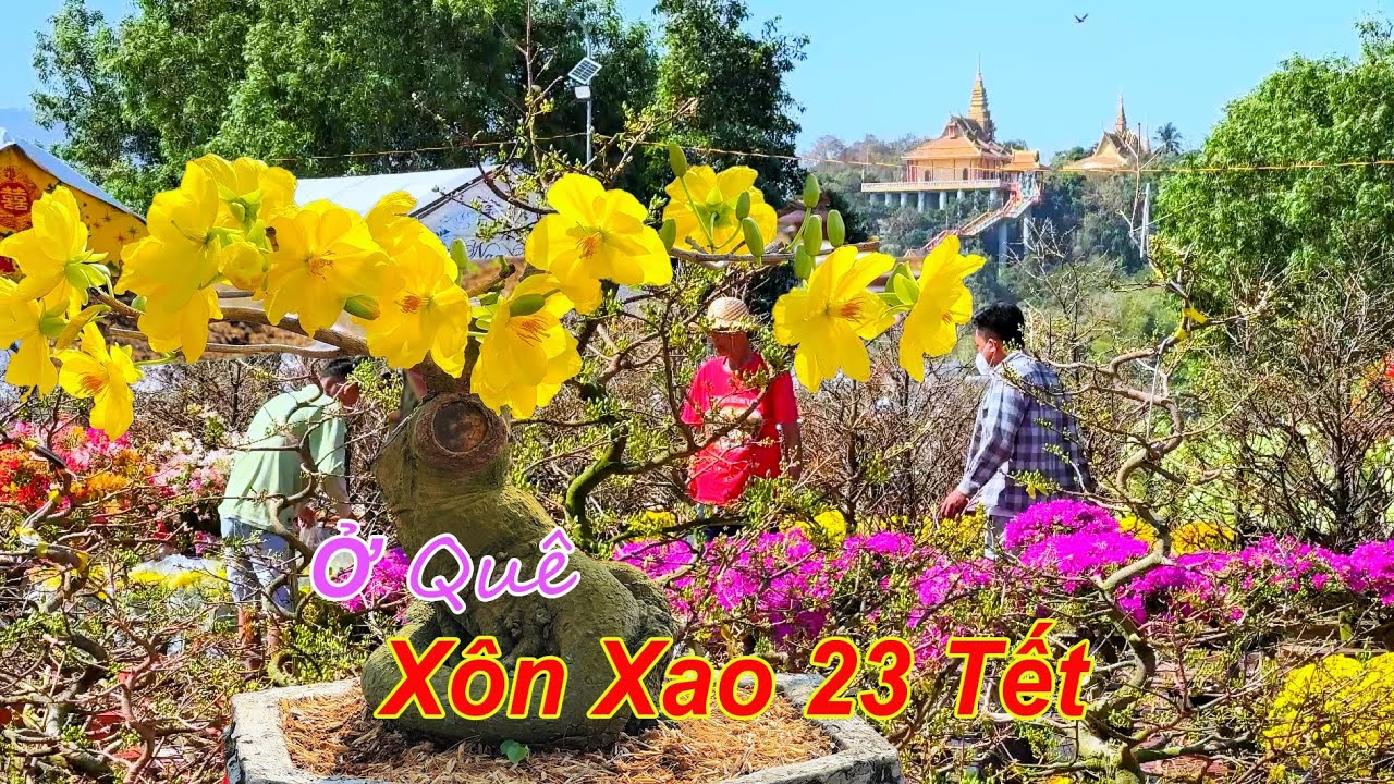Xôn Xao Chợ Tết Ở Quê 