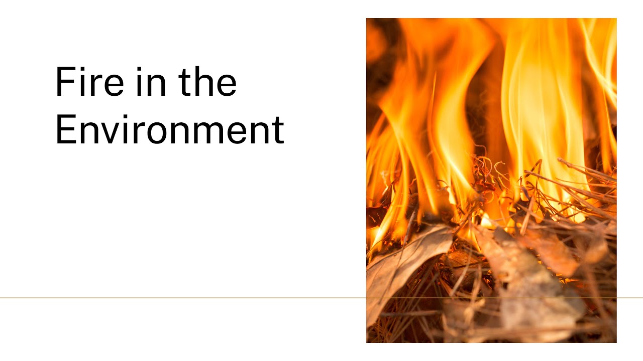 Fire in the Environment