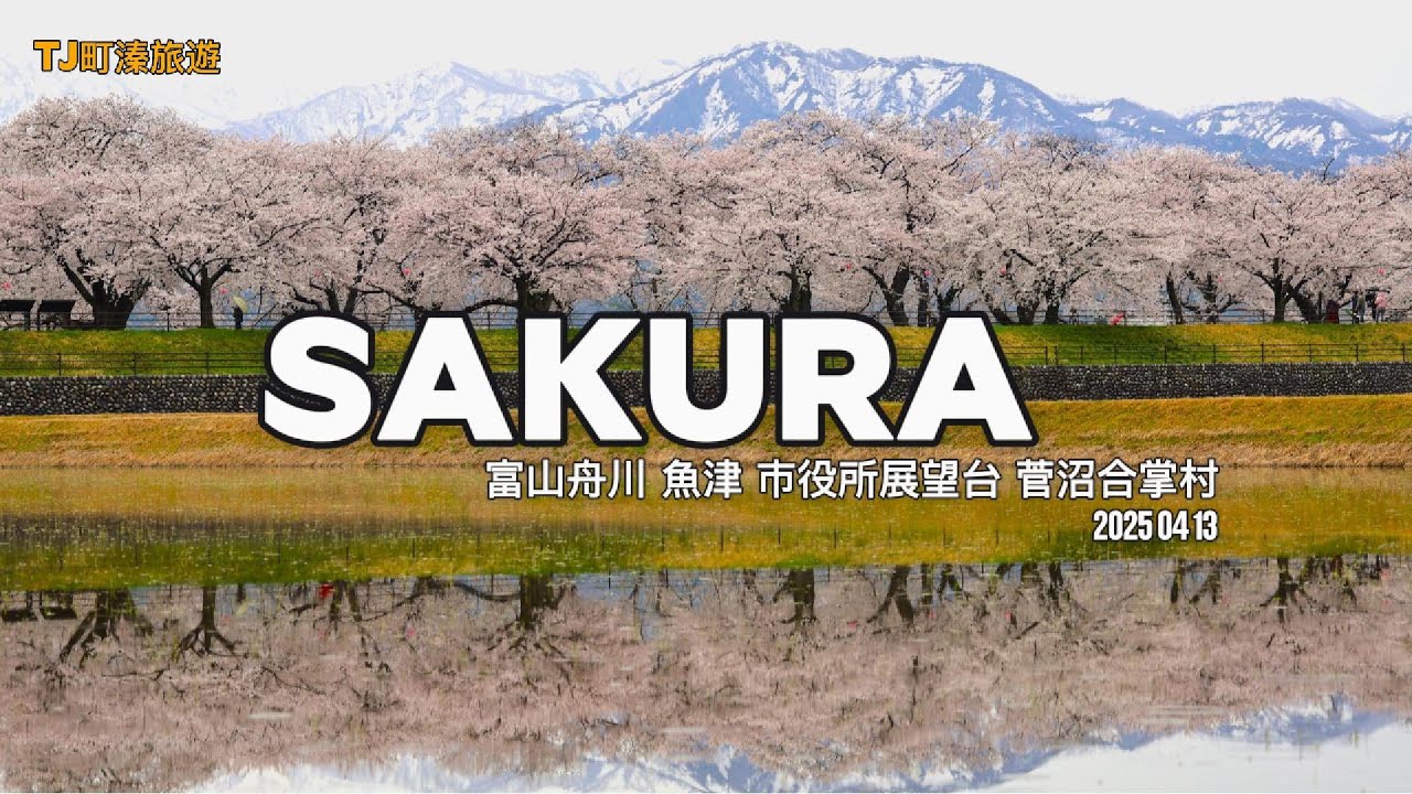 日本中部櫻花行  自駕 富山舟川四重奏 魚津港 市役所展望 菅沼合掌村 20250413