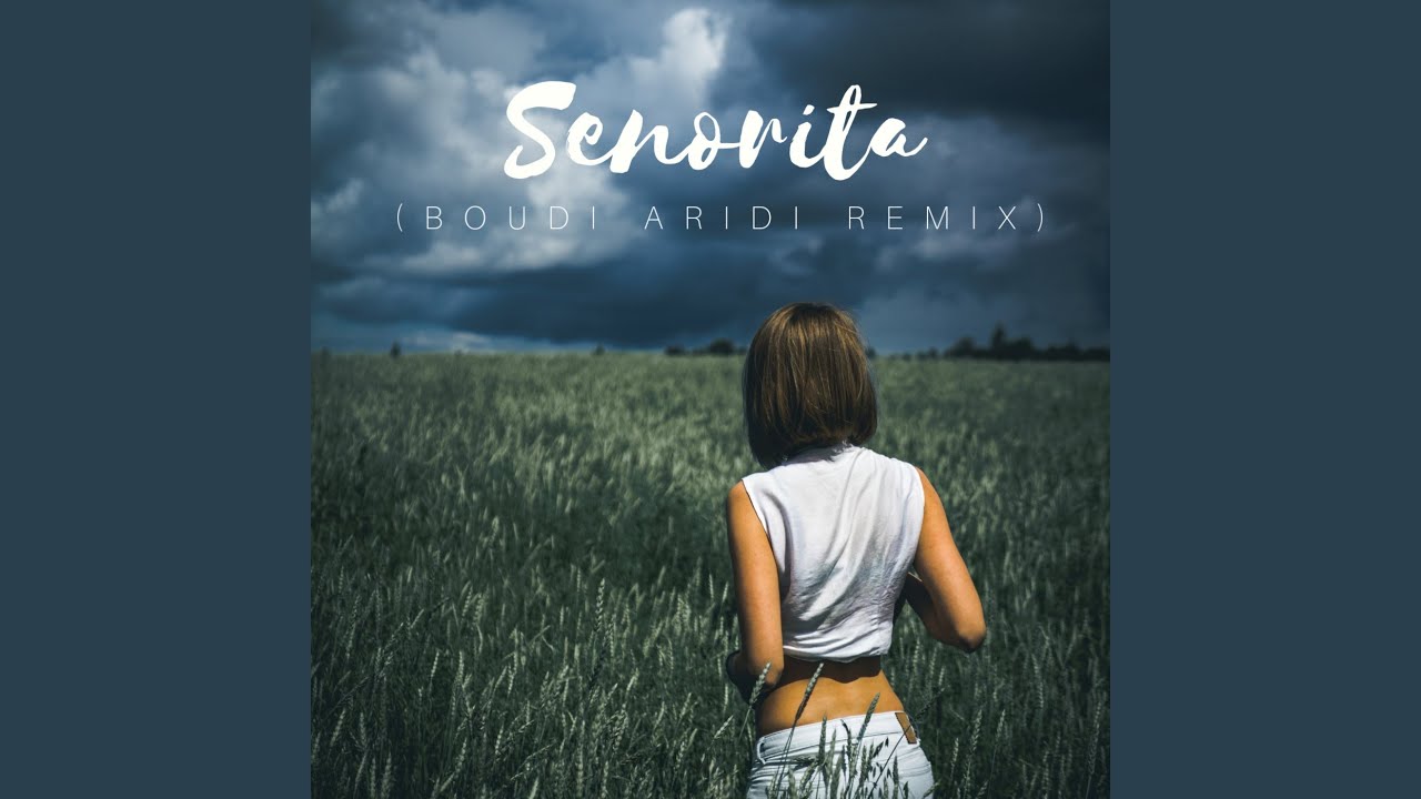 Senorita (Boudi Aridi Cover Remix)
