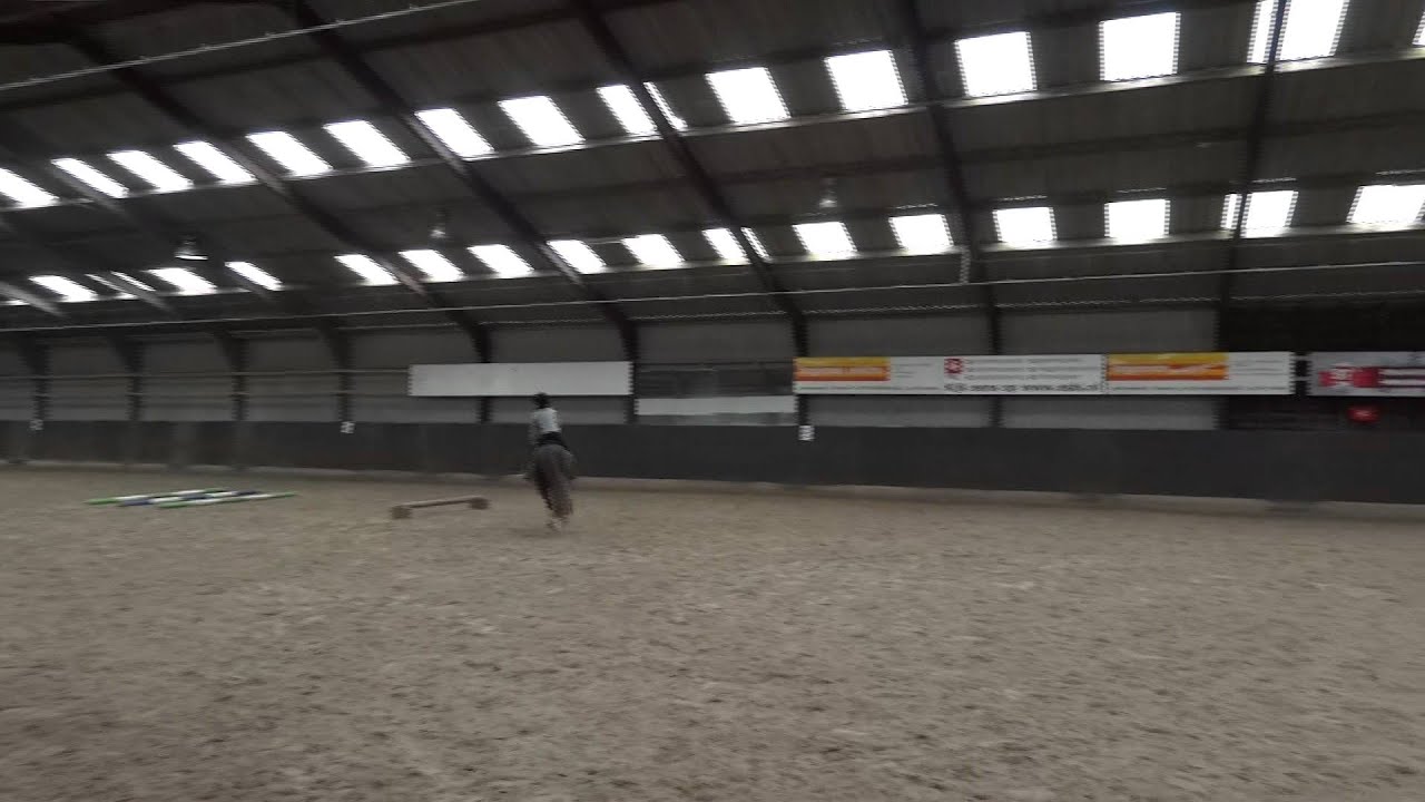 Manege PRC - Springles recreanten