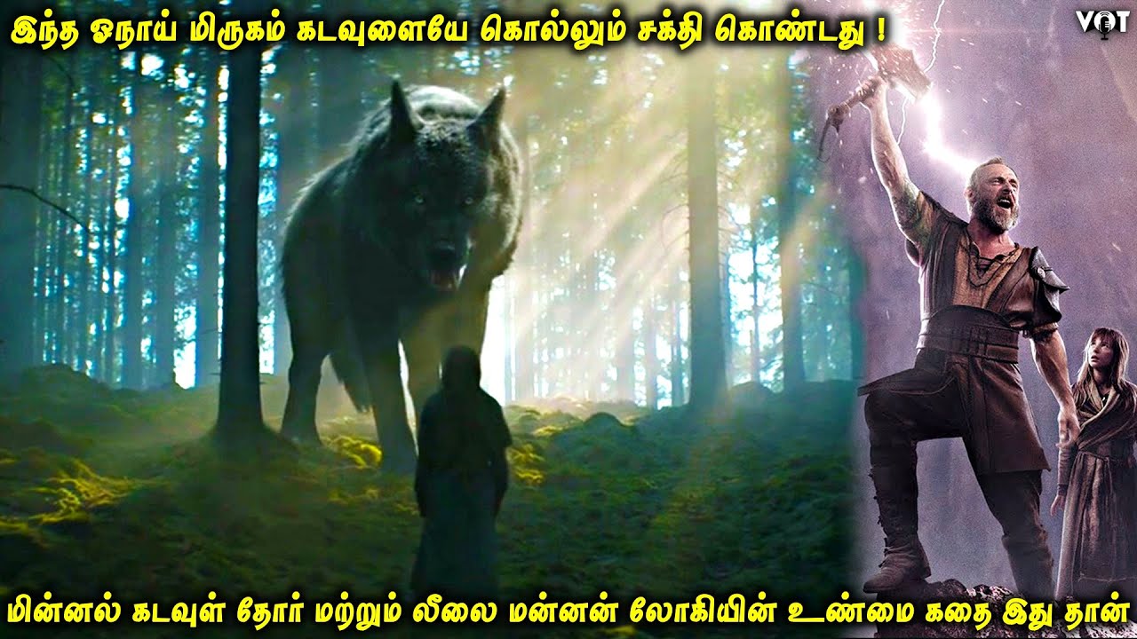 இந்த ஓநாய் மிருகம் கடவுளையே கொல்லும் சக்தி கொண்டது | தோர் மற்றும் லோகியின் உண்மை கதை இது தான் | VOT