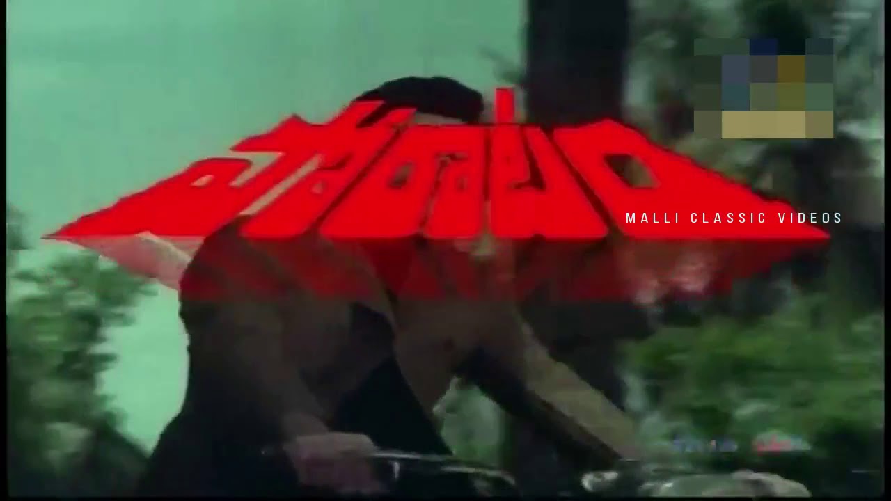 Poratam 1983 movie super hit song  full HD / super star Krishna