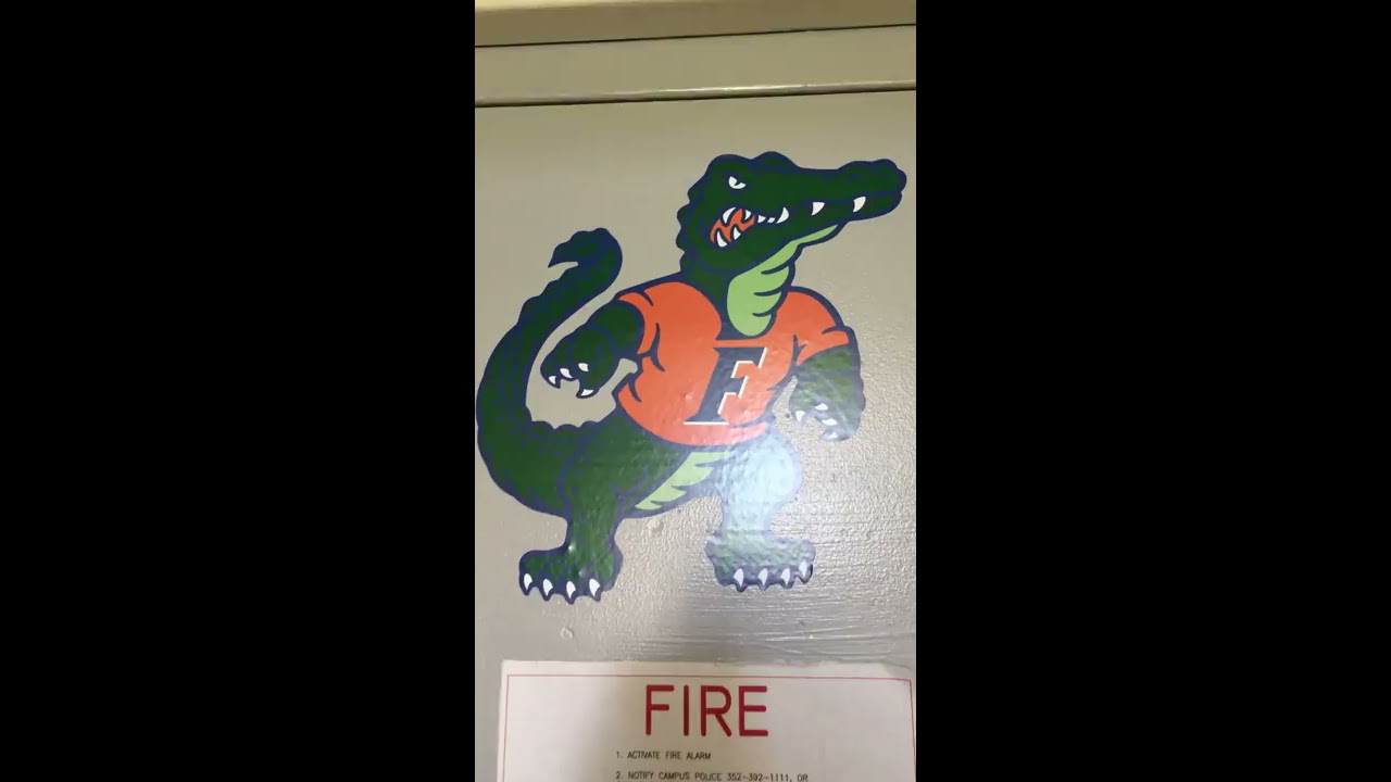 Jennings Hall Room Tour University of Florida