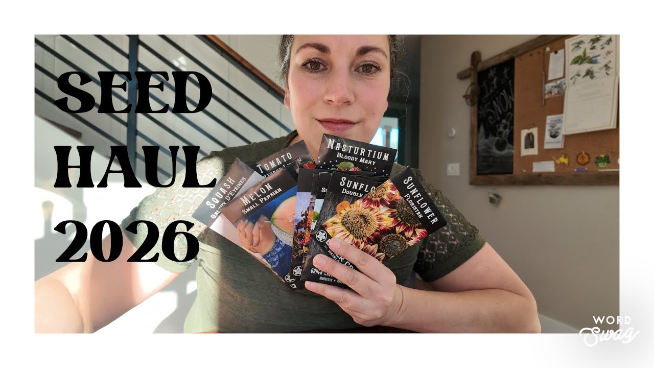 Seed Haul 2026 