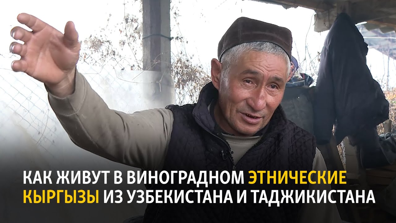 Как живут в Виноградном этнические кыргызы из Узбекистана и Таджикистана