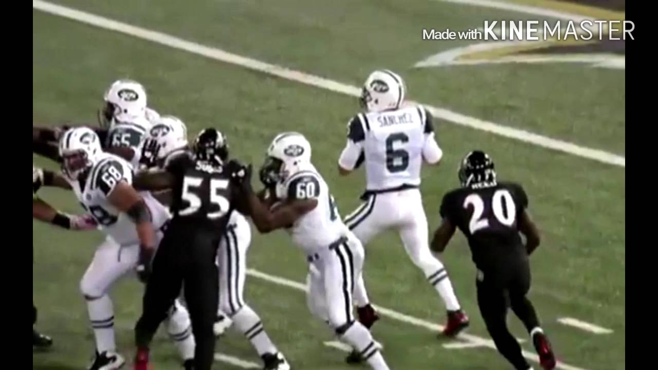 Ed Reed Career Highlights