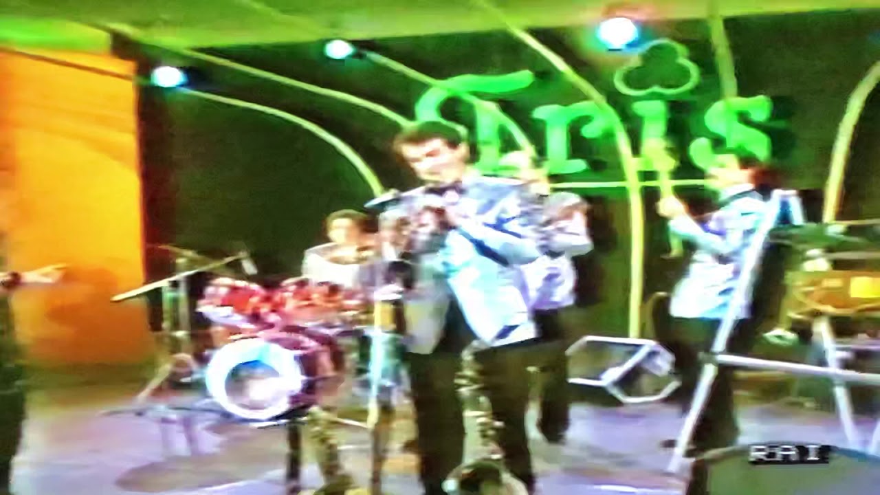 La cavallina Castellina Pasi