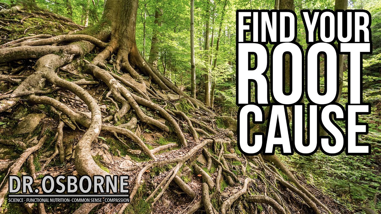 You MUST Address The Root Causes!