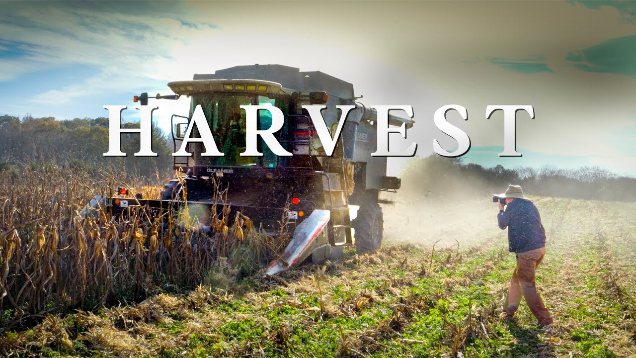 7 Days Silent Photography Through Tennessee’s Autumn Harvest